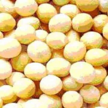 Soybean Isoflavones P.E.